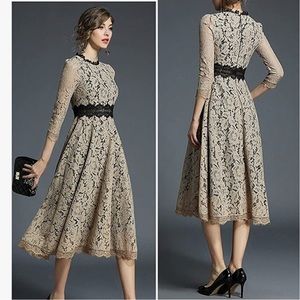 Neutral high empire waist lace overlay knee length dress. 2XL